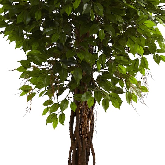 7.5ft. Potted UV Resistant Ficus Tree